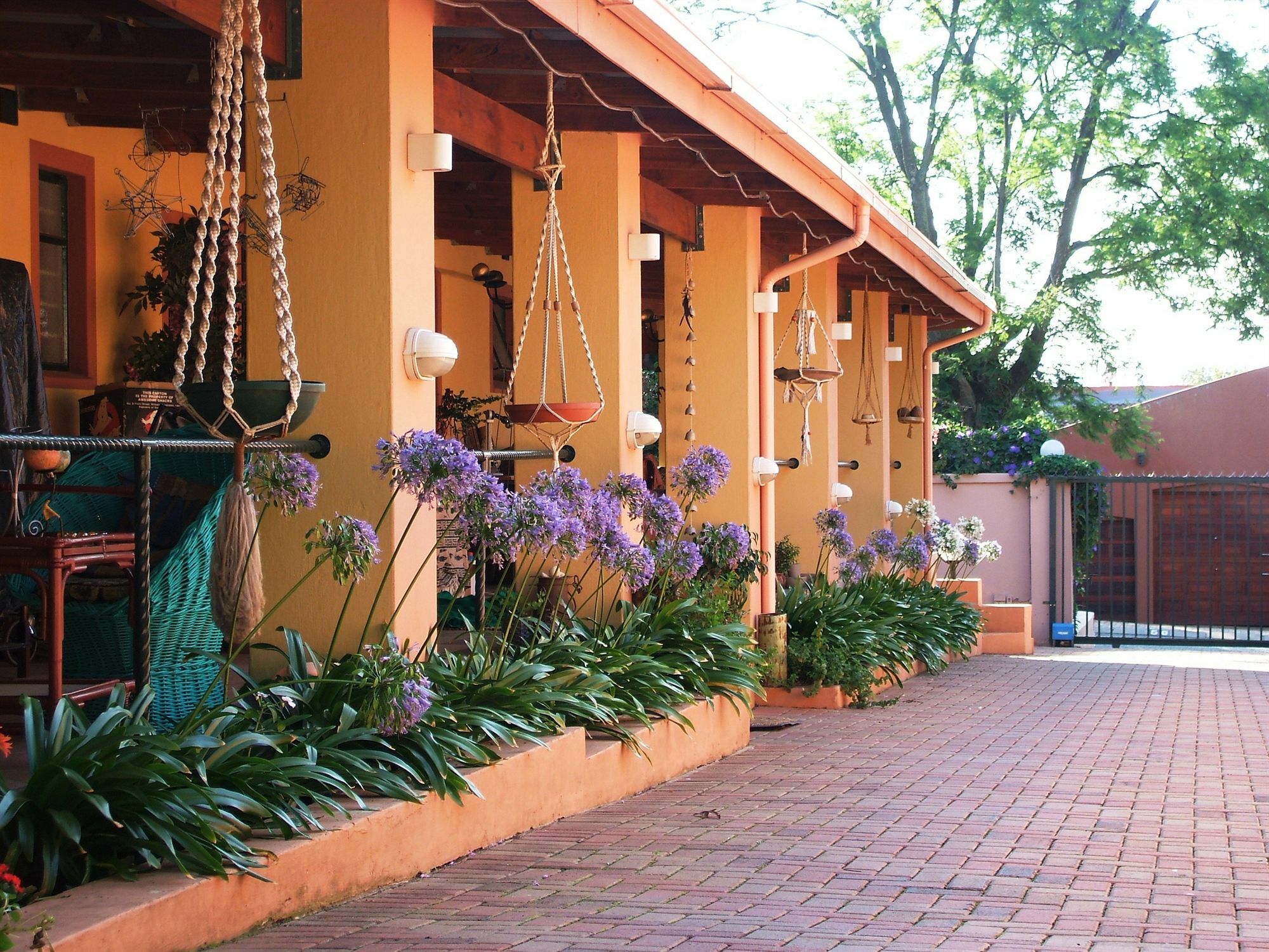 Cherry Tree Cottage B&B Linden Johannesburg Dış mekan fotoğraf